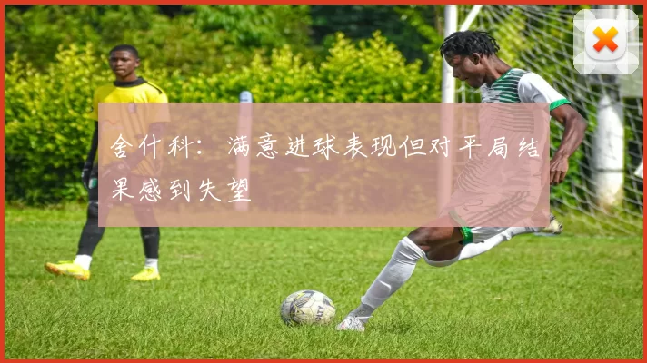 舍什科：满意进球表现但对平局结果感到失望